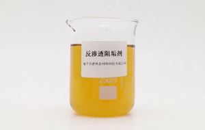 反滲透阻垢劑的運(yùn)用的作用