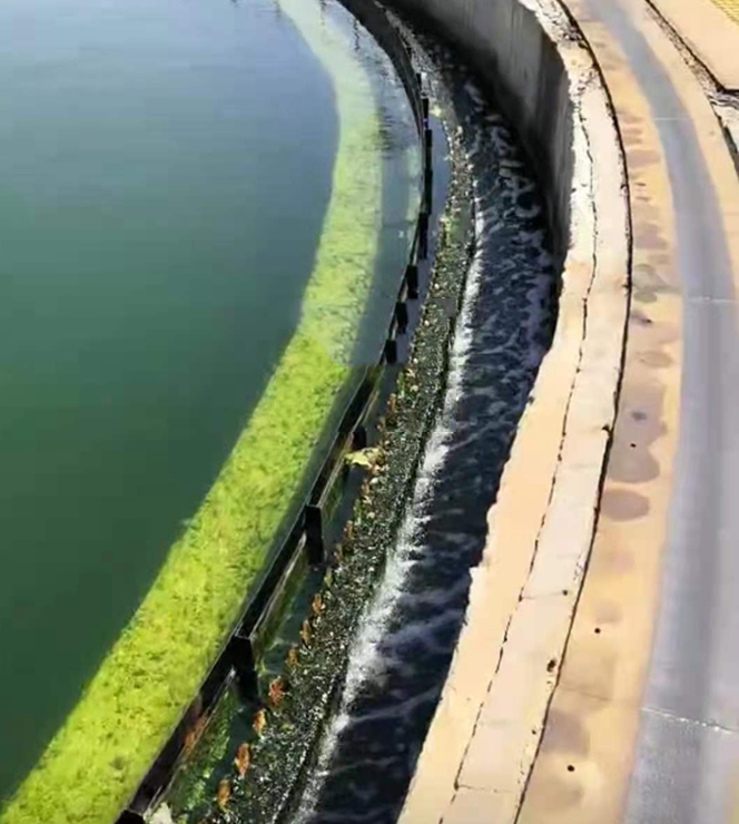 QQ圖片20230221103457