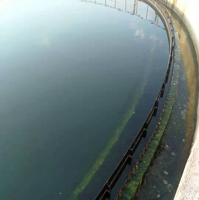 QQ圖片20230221103923